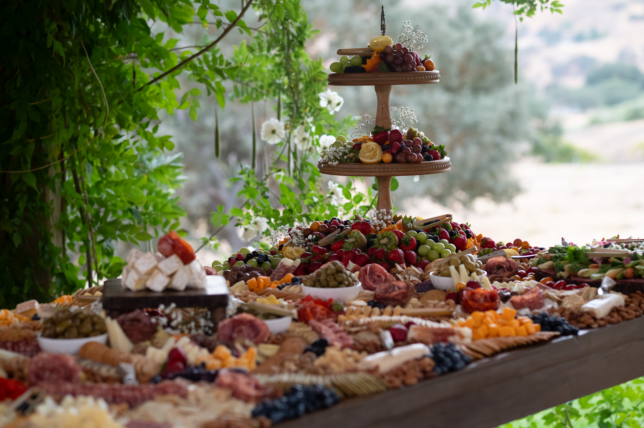 paso robles wedding venue, california extra virgin olive oil, olive oil